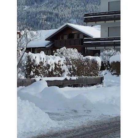 Schafer * Oberstdorf